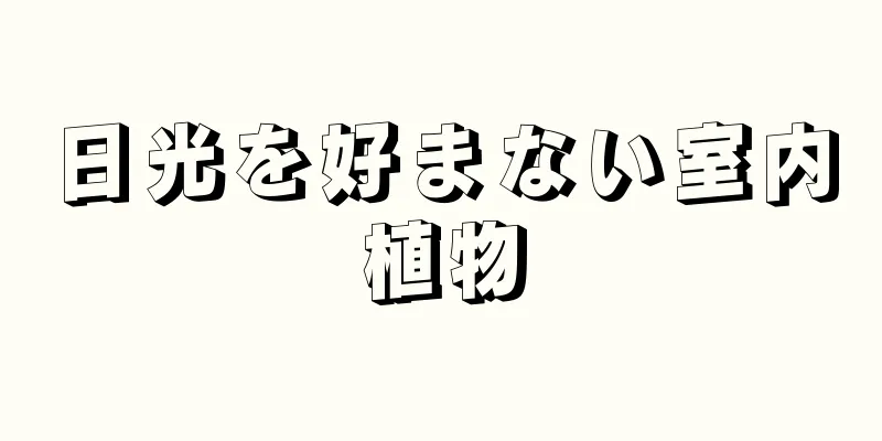 日光を好まない室内植物