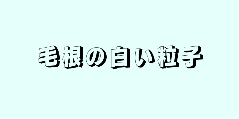 毛根の白い粒子