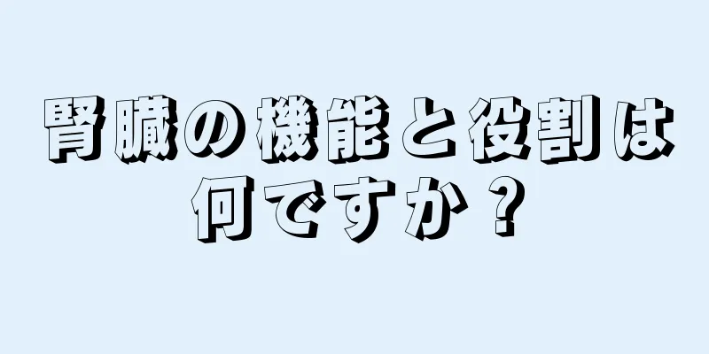 腎臓の機能と役割は何ですか？