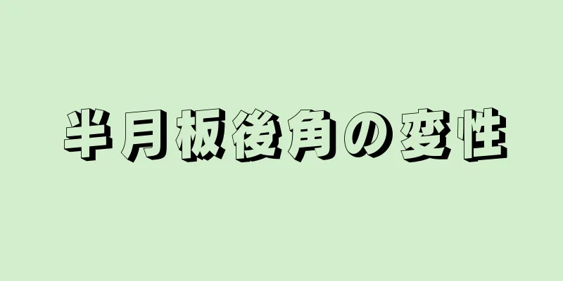 半月板後角の変性