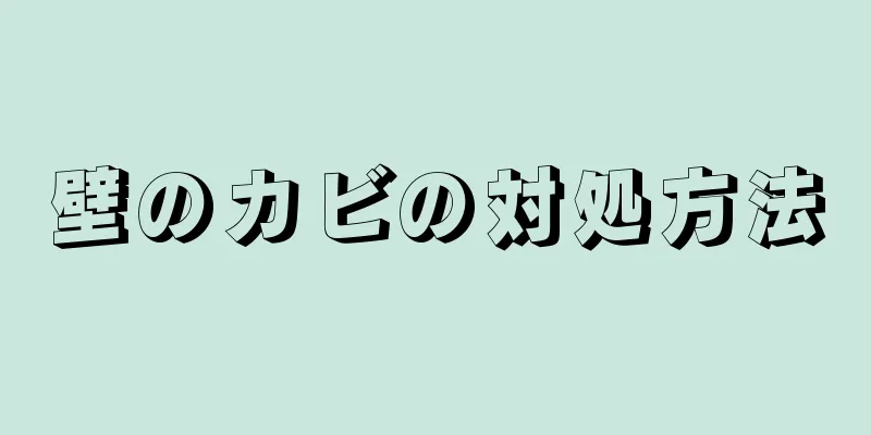 壁のカビの対処方法