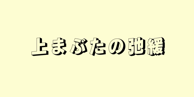 上まぶたの弛緩