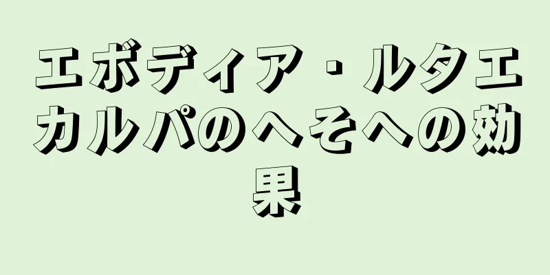 エボディア・ルタエカルパのへそへの効果