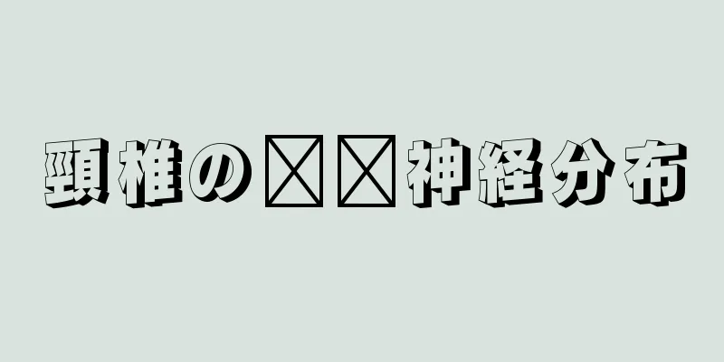 頸椎の​​神経分布