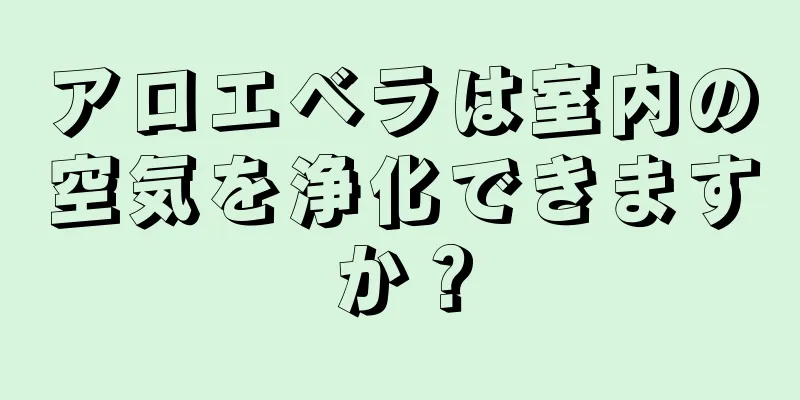 アロエベラは室内の空気を浄化できますか？