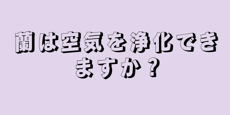 蘭は空気を浄化できますか？