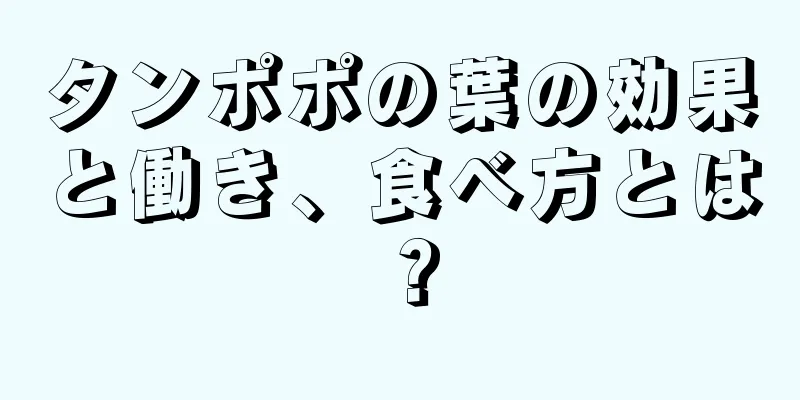 タンポポの葉の効果と働き、食べ方とは？