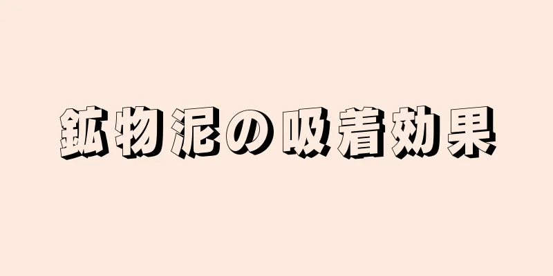 鉱物泥の吸着効果