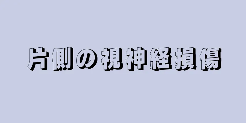 片側の視神経損傷