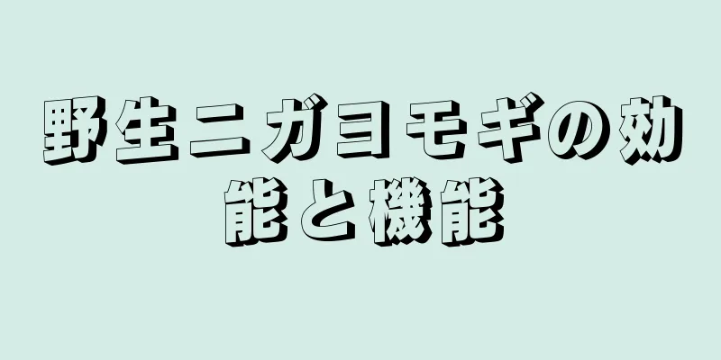 野生ニガヨモギの効能と機能