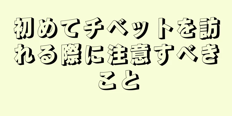 初めてチベットを訪れる際に注意すべきこと