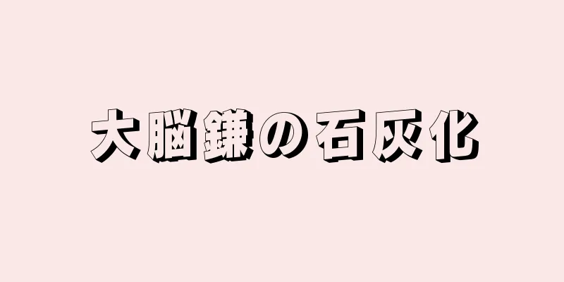 大脳鎌の石灰化