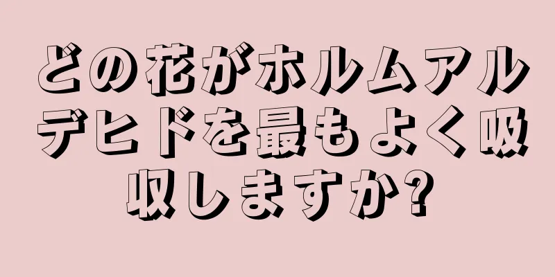 どの花がホルムアルデヒドを最もよく吸収しますか?