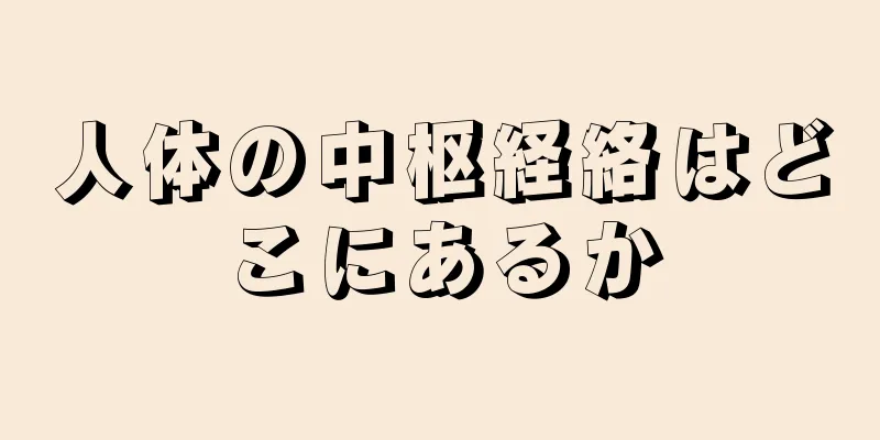 人体の中枢経絡はどこにあるか