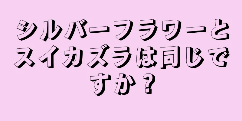 シルバーフラワーとスイカズラは同じですか？