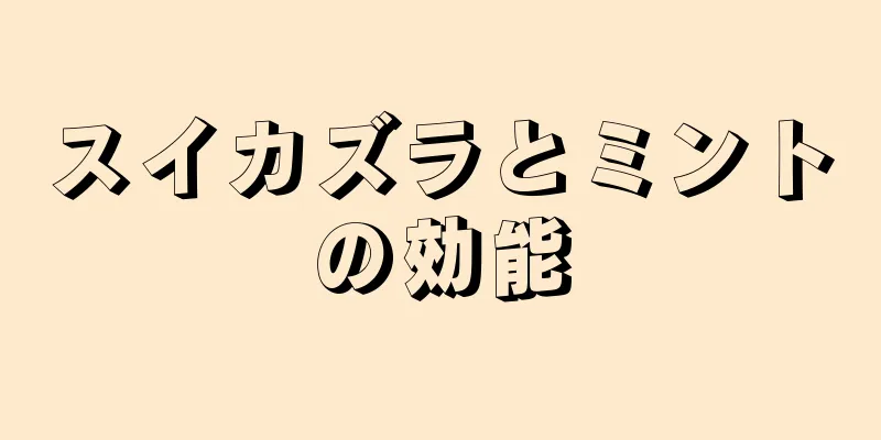 スイカズラとミントの効能