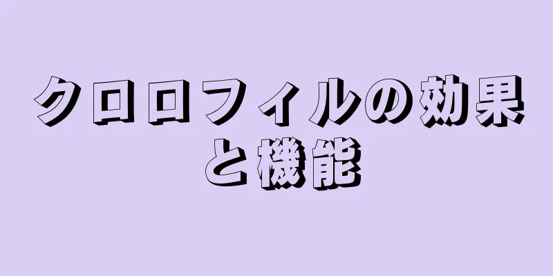 クロロフィルの効果と機能