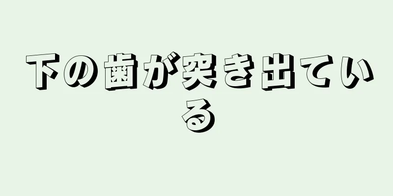 下の歯が突き出ている