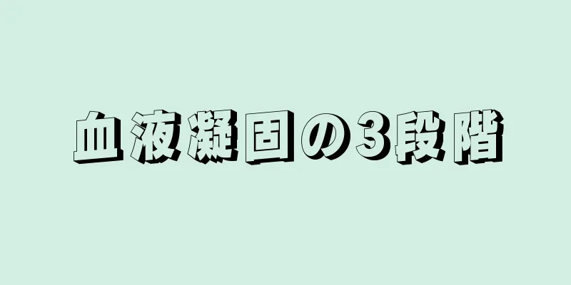 血液凝固の3段階