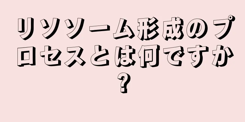 リソソーム形成のプロセスとは何ですか?