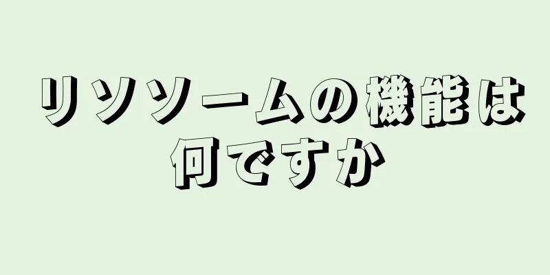 リソソームの機能は何ですか