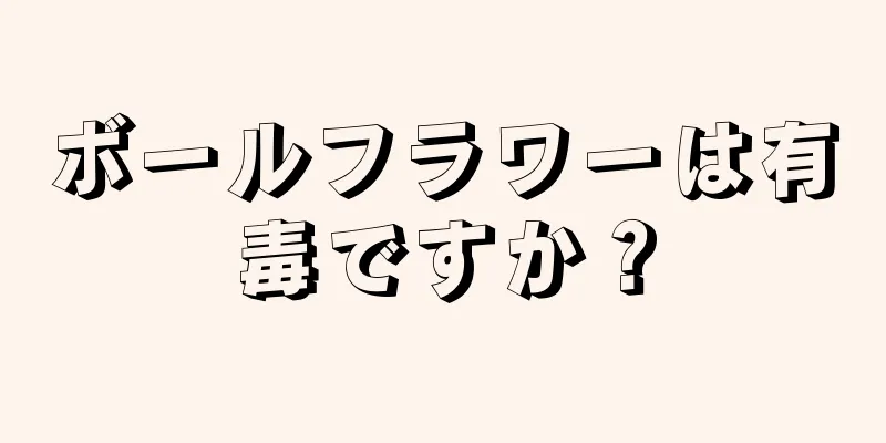 ボールフラワーは有毒ですか？