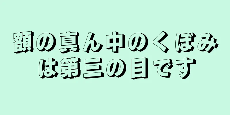 額の真ん中のくぼみは第三の目です