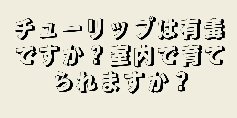 チューリップは有毒ですか？室内で育てられますか？