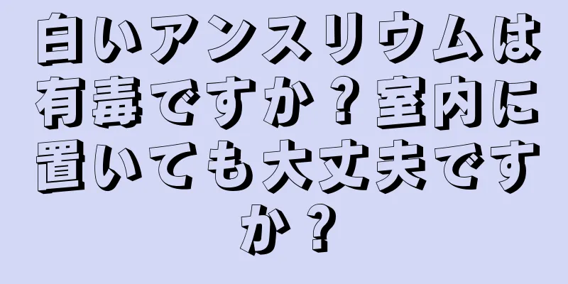 白いアンスリウムは有毒ですか？室内に置いても大丈夫ですか？