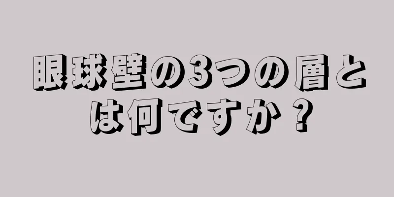 眼球壁の3つの層とは何ですか？