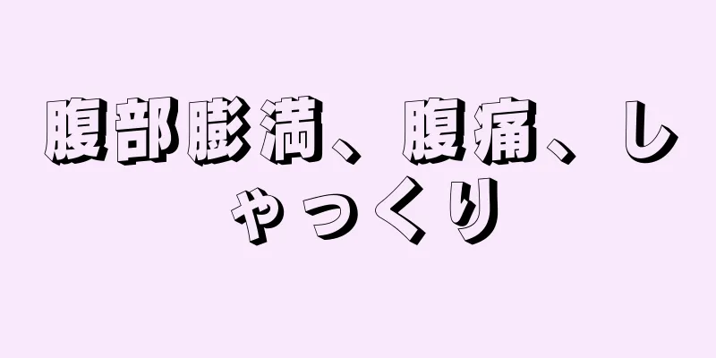 腹部膨満、腹痛、しゃっくり