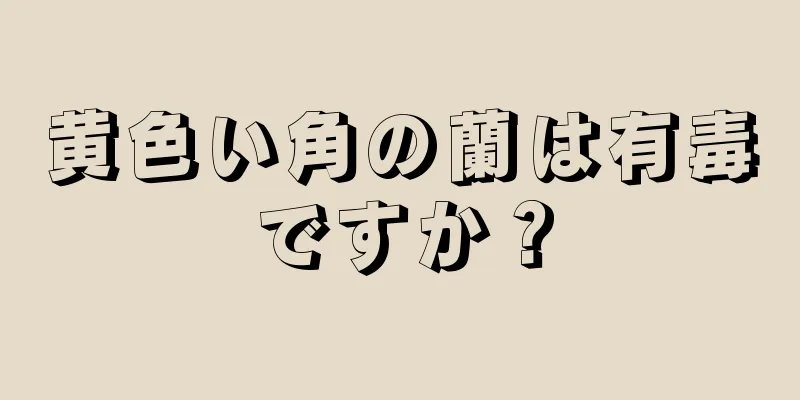 黄色い角の蘭は有毒ですか？