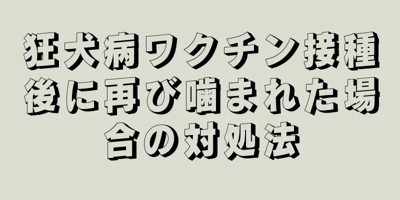 狂犬病ワクチン接種後に再び噛まれた場合の対処法