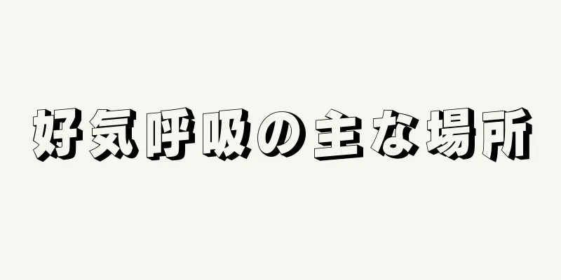 好気呼吸の主な場所