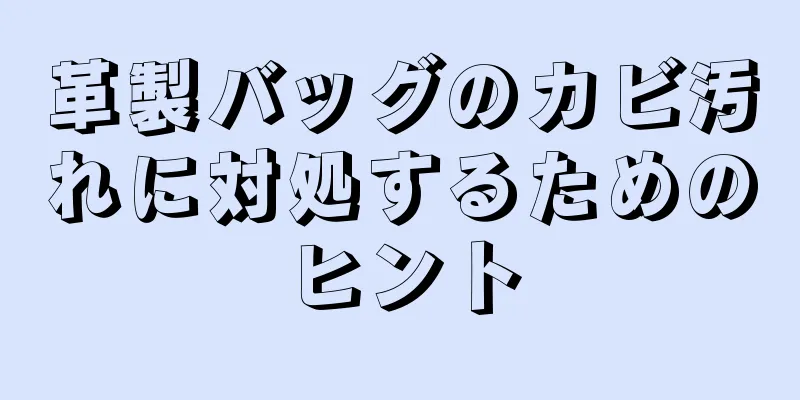 革製バッグのカビ汚れに対処するためのヒント