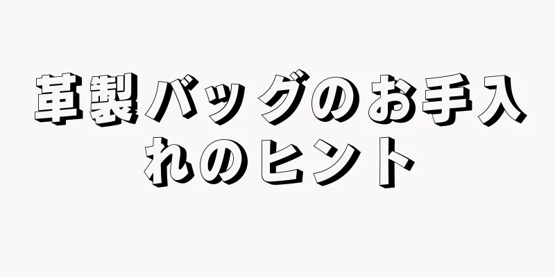 革製バッグのお手入れのヒント