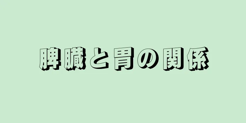 脾臓と胃の関係