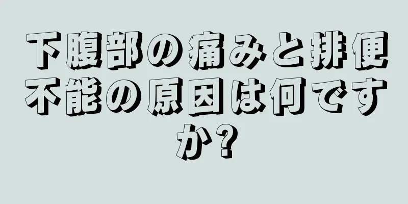 下腹部の痛みと排便不能の原因は何ですか?