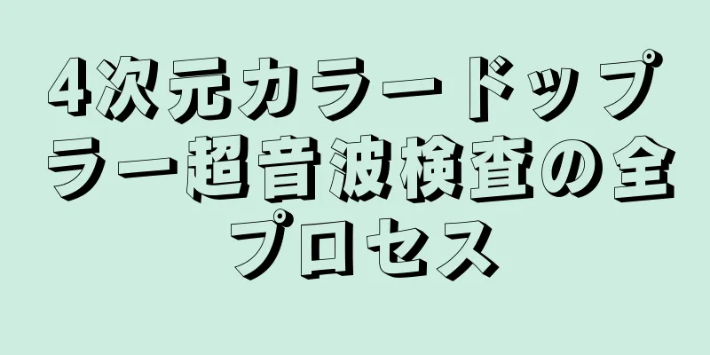 4次元カラードップラー超音波検査の全プロセス