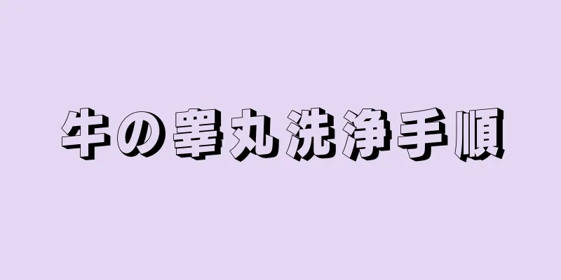 牛の睾丸洗浄手順