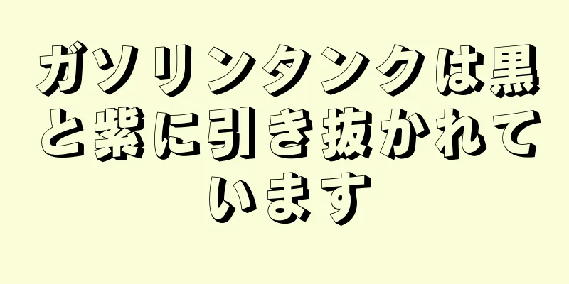 ガソリンタンクは黒と紫に引き抜かれています