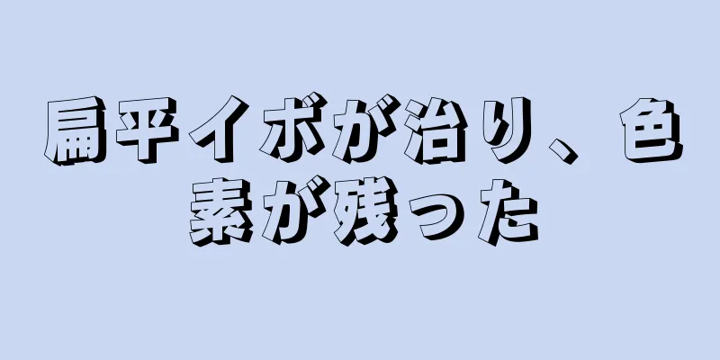 扁平イボが治り、色素が残った