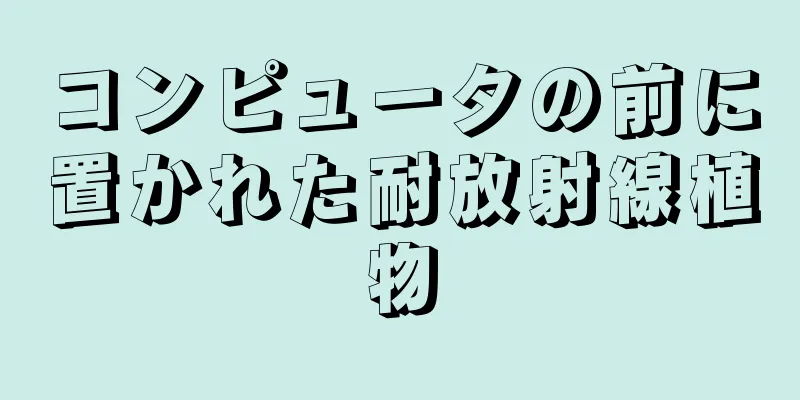 コンピュータの前に置かれた耐放射線植物