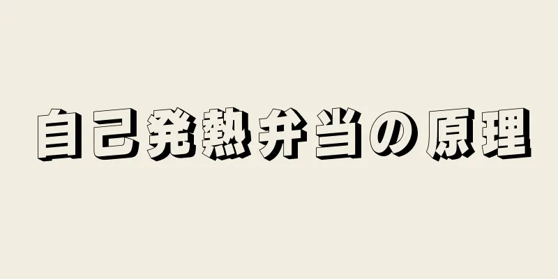 自己発熱弁当の原理