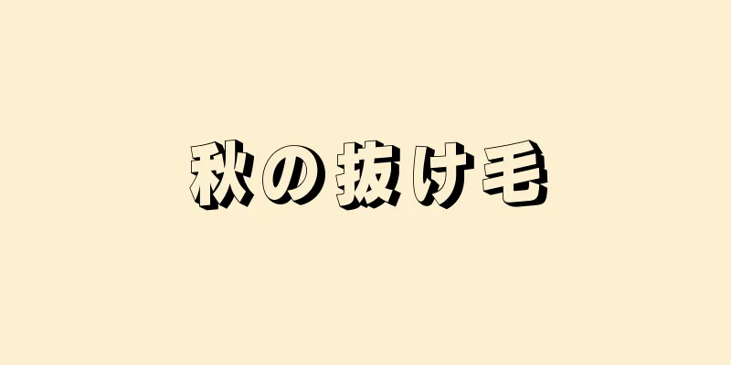 秋の抜け毛