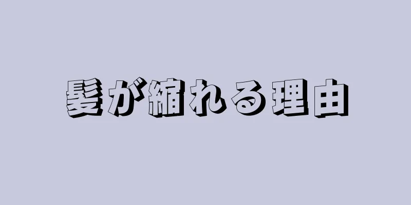 髪が縮れる理由