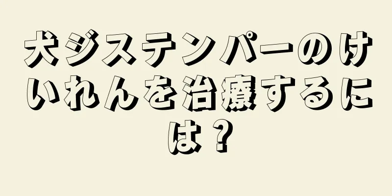 犬ジステンパーのけいれんを治療するには？