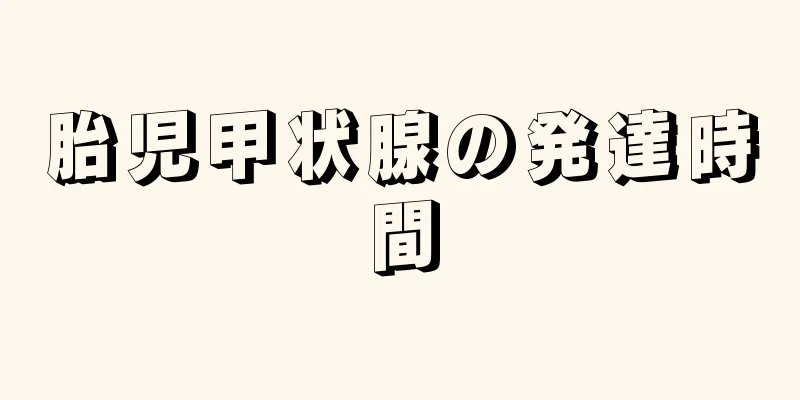 胎児甲状腺の発達時間