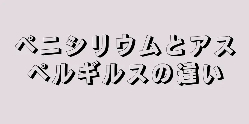 ペニシリウムとアスペルギルスの違い