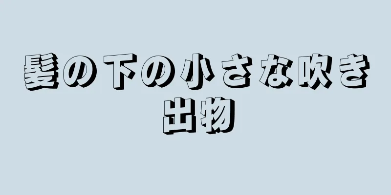 髪の下の小さな吹き出物